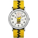 Timex TW2R41100