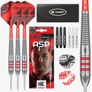 steel Target Nathan Aspinall 22g, brass