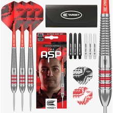 steel Target Nathan Aspinall 22g, brass