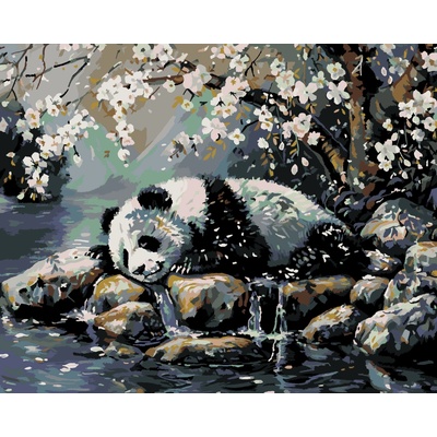 ZUTY SPIACA PANDA A ROZKVITNUTÝ STROM Rámovanie bez rámu a bez vypnutia plátna Rozmer 80 x 100 cm