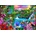 Bluebird Puzzle - Puzzle Oriental Paradise - 1 000 piese