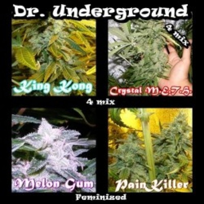 Dr. Underground Surprise Killer Mix semena neobsahují THC 4 ks