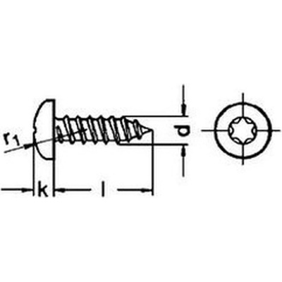 šroub do plechu 4.2x13 A2 NEREZ půlkulatá hlava TORX 20 DIN 7981 C ISO 14585 – Zboží Mobilmania