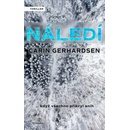 Náledí