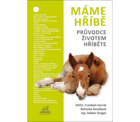 Máme hříbě