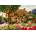 Bluebird Puzzle - Puzzle Thatched Cottage - 1 000 piese
