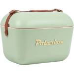 Polisur Светлозелена хладилна чанта 20 l Classic - Polarbox