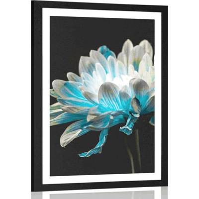 Plakát s paspartou sedmikráska na černém pozadí - 30x45 silver