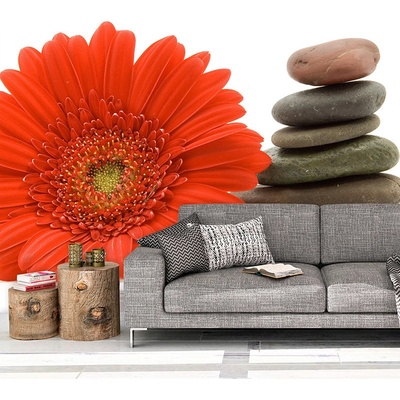 Tapeta SABLIO Gerbera s kameny, rozměry 336x220 cm