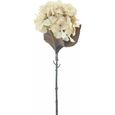 Hortenzie větev „Mendoza“ krémová 65 cm