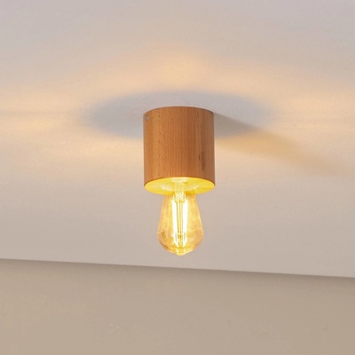 Envostar LW.0672