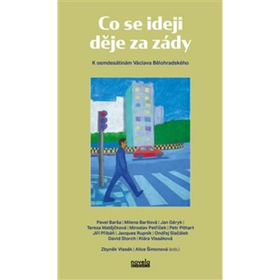 Co se ideji děje za zády - Alice Šimonová