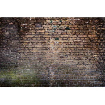 DIMEX ART s. r. o Флизелинов фототапет старо мръсно тухли 375 x 250 см