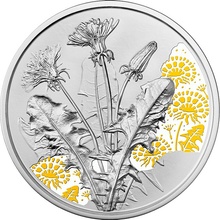 Stříbrná mince Pampeliška 1/2 oz Proof