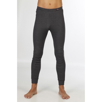 EVONA a.s. Termoregulační spodky ALBERT THERMOFORM šedé – Hledejceny.cz