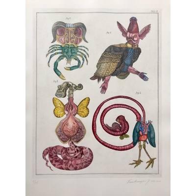 Jan Švankmajer, Z cyklu Přírodopis Tabulka č. 1