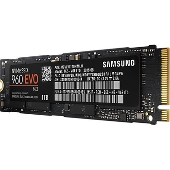 Samsung 960 EVO NVMe M.2 1 TB, MZ-V6E1T0BW