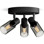 Philips Palms 929004105401
