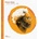 PETER ONE - COME BACK TO ME CD