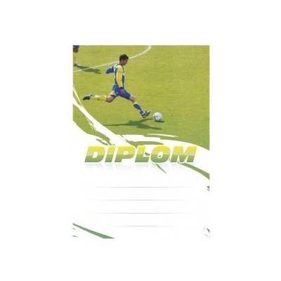 Diplom 6604