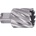 ABSE N-HS-W19-0320025