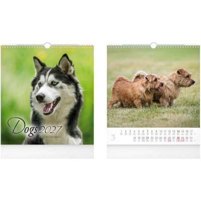 nástěnný malý Dogs 1061734 2027