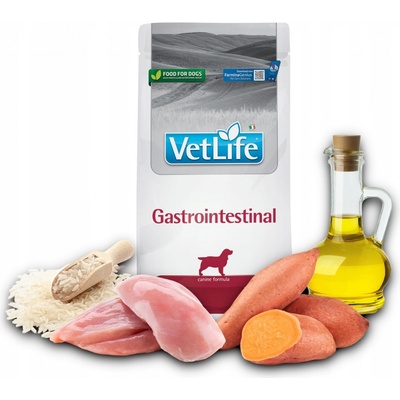 Vet Life Dog Gastro-Intestinal 2 kg