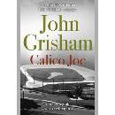 Calico Joe Grisham JohnPaperback