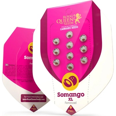 Royal Queen Seeds Somango XL semienka neobsahujú THC 10 ks