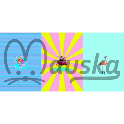 Plameňák