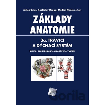 Základy anatomie