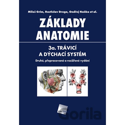 Základy anatomie