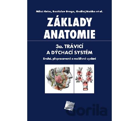 Základy anatomie