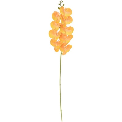KS ORCHIDEA PHALAENOPSIS ŽLTÁ 100CM