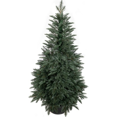 zanapo.cz Umělý stromek Smrk California 100% 3D v květináči 80 cm – Zboží Dáma