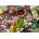 Trefl - Puzzle Orders in the Garden - 1 000 piese