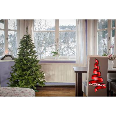 DecorMix.cz | 2D stromek | zelený 1,6 m | Jedle Kavkazská 160 cm