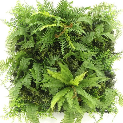 MINI WALL GREEN bush fern, dielec 50 x 50 cm