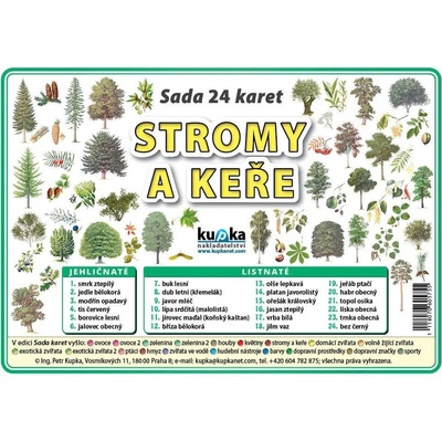 nakladatelství Kupka Sada 24 karet - stromy a keře A7 (10x7 cm)