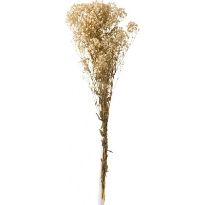 Zväzok prírodnej sušenej trávy Gypsophila - 10*5*84 cm - J-Line by Jolipa