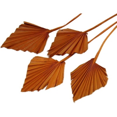palm spear mini oranžový, cena za 20 ks