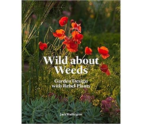 Wild about Weeds