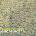 Warner Veruca Salt: Ghost Notes - CD (010259)
