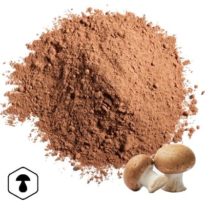 LifeChi Agaricus (Agaricus blazei Murill) extrakt v prášku 50 g