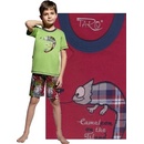 Taro chlapecké pyžamo 392Chameleón