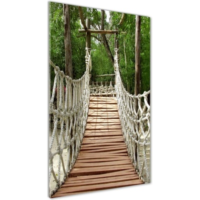 Vertikálny fotoobraz na skle Lanový most 50x100 cm