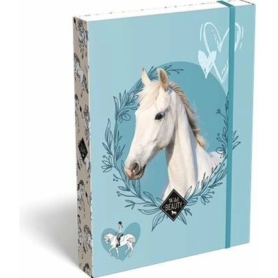 LIZZYSULI Box na zošity, A5, , Wild Beauty, Sport Club