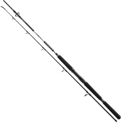 Daiwa BG Offshore Pilk 2,7 m 40-125 g 2 díly