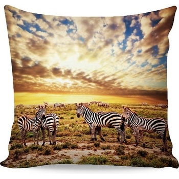 Matějovský Kimba bavlna satén 50 x 50 cm