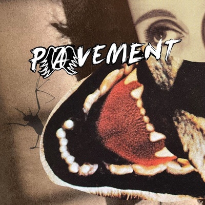 Pavement - Heckler's Choice: Big Gums And Heavy Lifters - A Pavement Collection (LP) (0191401215411)